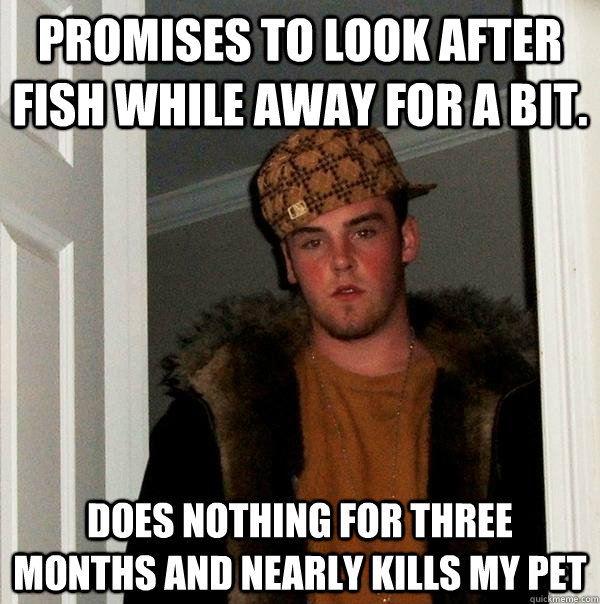 Promises to look after fish while away for a bit.  does nothing for three months and nearly kills my pet - Promises to look after fish while away for a bit.  does nothing for three months and nearly kills my pet  Scumbag Steve