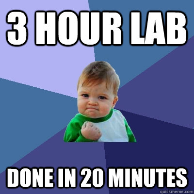 3 Hour Lab Done in 20 minutes  Success Kid