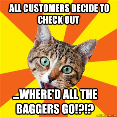  ALL CUSTOMERS DECIDE TO CHECK OUT ...where'd all the baggers go!?!?  Bad Advice Cat