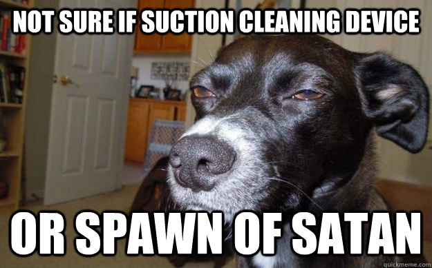 not sure if suction cleaning device    or spawn of satan  Skeptical Mutt