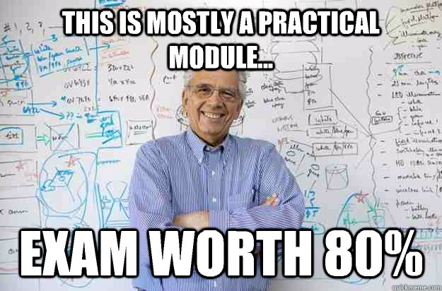 This is mostly a practical module... Exam worth 80% - This is mostly a practical module... Exam worth 80%  Engineering Professor