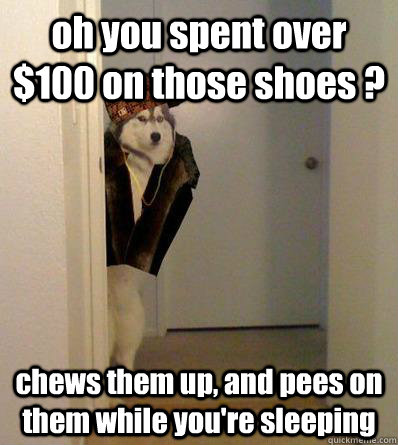 oh you spent over $100 on those shoes ? chews them up, and pees on them while you're sleeping  Scumbag dog