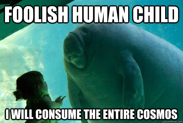 foolish human child i will consume the entire cosmos - foolish human child i will consume the entire cosmos  Overlord Manatee