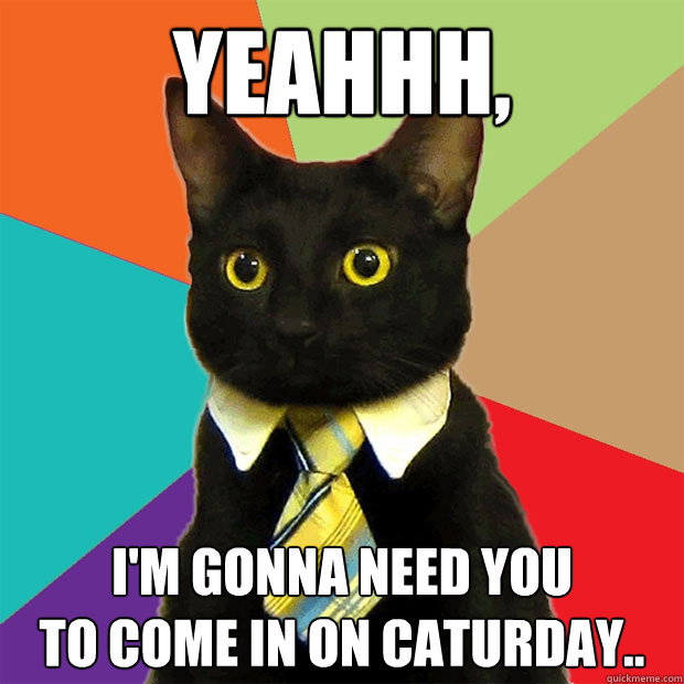 Yeahhh, i'm gonna need you 
to come in on caturday..  Business Cat