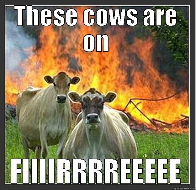 fire cow - THESE COWS ARE ON FIIIIRRRREEEEE Evil cows