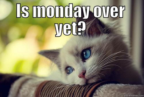 IS MONDAY OVER YET?  First World Problems Cat