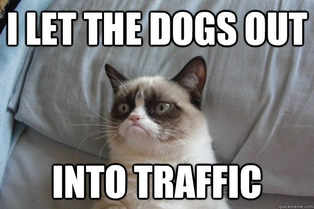 I let the dogs out into traffic - I let the dogs out into traffic  Misc