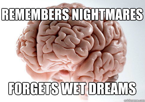 remembers nightmares forgets wet dreams  Scumbag Brain