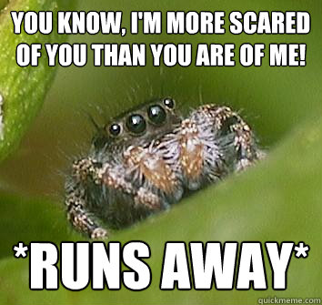 You know, I'm more scared of you than you are of me! *runs away* - You know, I'm more scared of you than you are of me! *runs away*  Misunderstood Spider