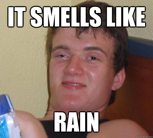 it smells like rain  10 Guy