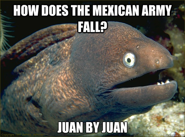 How does the mexican army fall? juan by juan  Bad Joke Eel