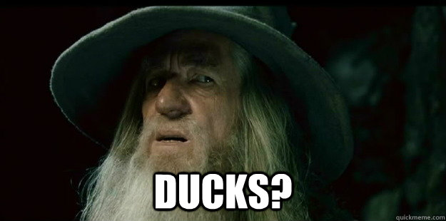  Ducks?  I have no memory Gandalf