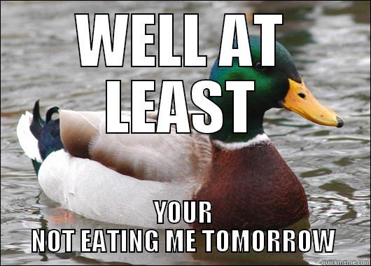 WELL AT LEAST YOUR NOT EATING ME TOMORROW Actual Advice Mallard