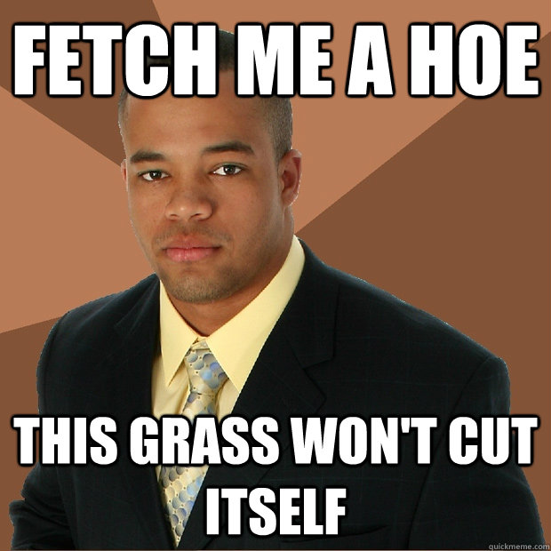 Fetch me a hoe this grass won't cut itself - Fetch me a hoe this grass won't cut itself  Successful Black Man