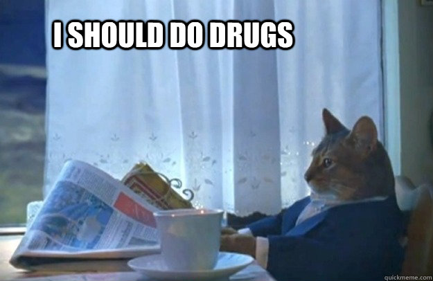 I should do drugs  Sophisticated Cat