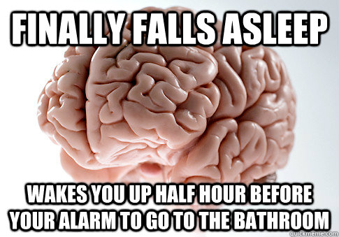 FINALLY FALLS ASLEEP WAKES YOU UP HALF HOUR BEFORE YOUR ALARM TO GO TO THE BATHROOM   Scumbag Brain