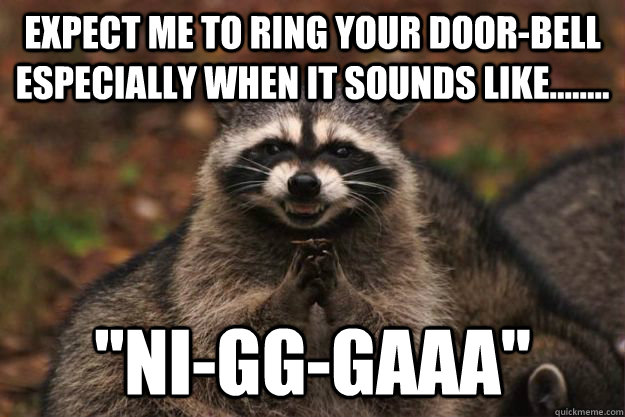 Expect me to ring your door-bell Especially when it sounds like........ ''NI-GG-GAAA''  Evil Plotting Raccoon