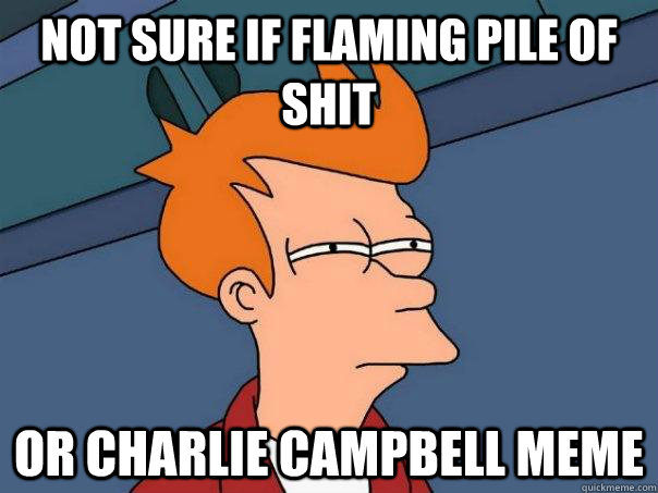 not sure if flaming pile of shit Or charlie campbell meme - not sure if flaming pile of shit Or charlie campbell meme  Futurama Fry