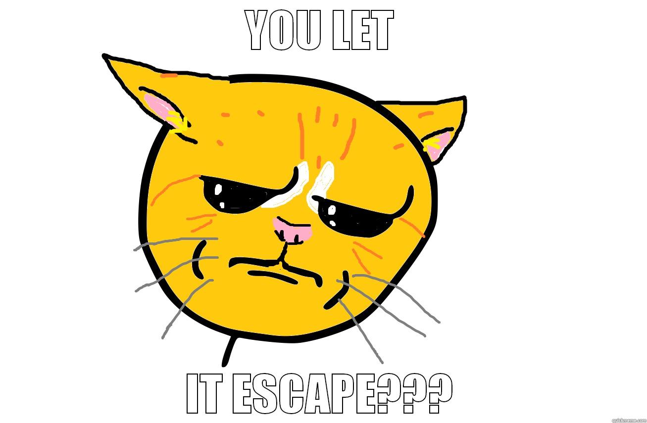 YOU LET IT ESCAPE??? Misc