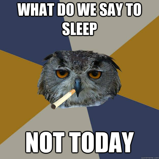 What do we say to sleep NOT TODAY  Art Student Owl