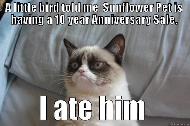 10 year anniversary sale - A LITTLE BIRD TOLD ME  SUNFLOWER PET IS HAVING A 10 YEAR ANNIVERSARY SALE. I ATE HIM Grumpy Cat