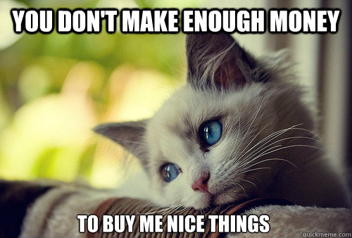 you don't make enough money to buy me nice things  First World Problems Cat