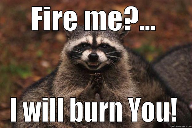 fire me? - FIRE ME?... I WILL BURN YOU! Evil Plotting Raccoon