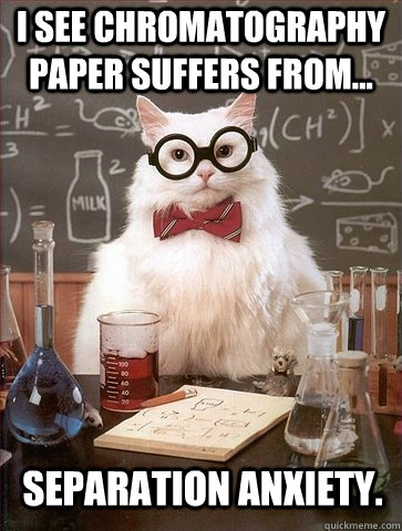 i see chromatography paper suffers from... separation anxiety. - i see chromatography paper suffers from... separation anxiety.  Chemistry Cat