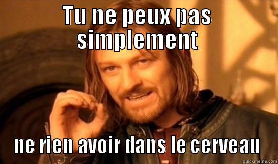 Y comprend rien - TU NE PEUX PAS SIMPLEMENT NE RIEN AVOIR DANS LE CERVEAU Boromir