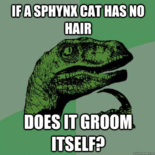 If a sphynx cat has no hair does it groom itself?  Philosoraptor