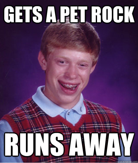 Gets a pet rock runs away  Bad Luck Brian