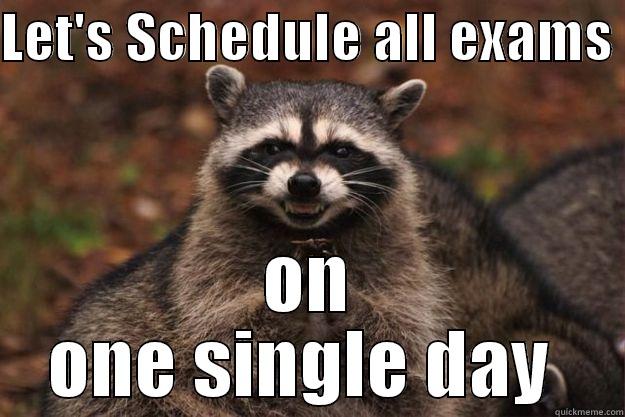 LET'S SCHEDULE ALL EXAMS  ON ONE SINGLE DAY  Evil Plotting Raccoon