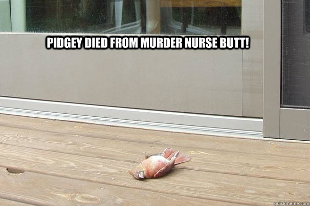 Pidgey died from MURDER NURSE BUTT!  Pokemon Brave Bird