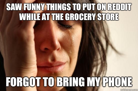 Saw funny things to put on reddit while at the grocery store Forgot to bring my phone  First World Problems