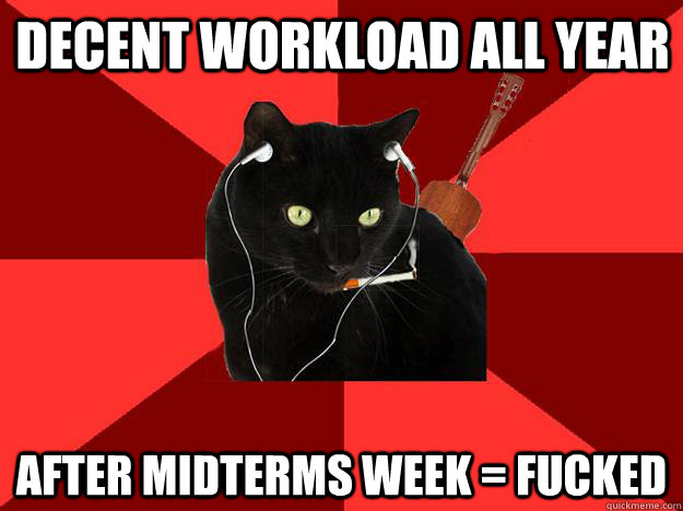 decent workload all year after midterms week = FUCKED  Berklee Cat