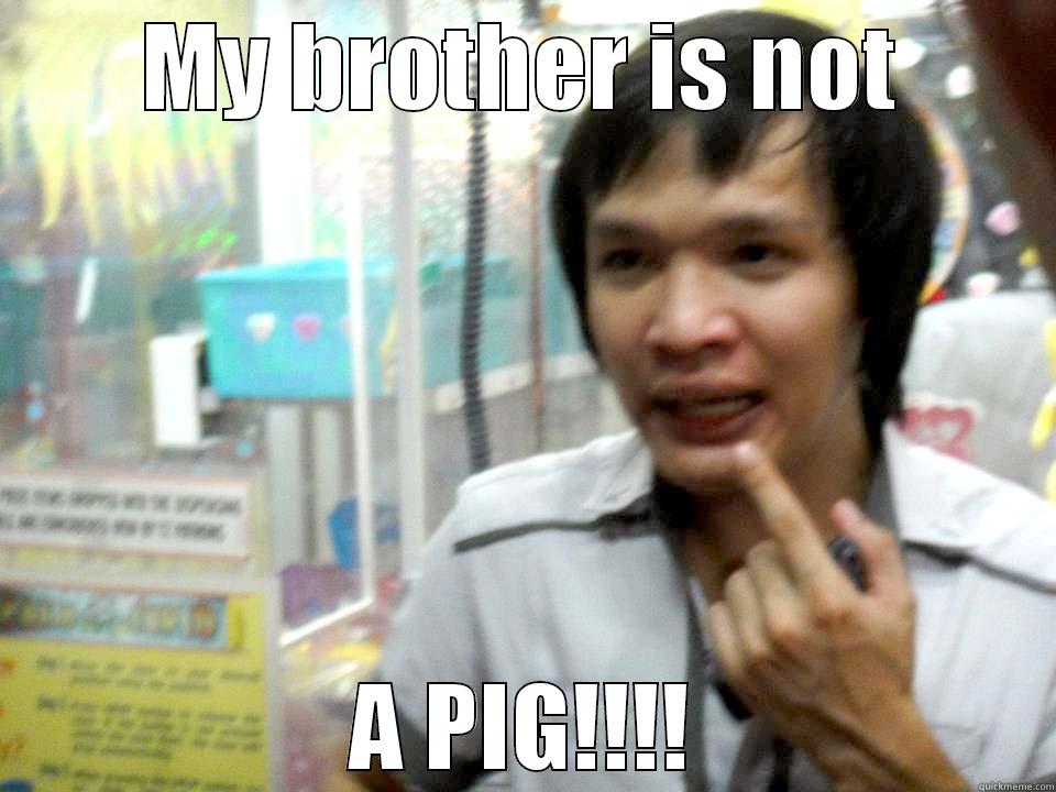 challange me - MY BROTHER IS NOT A PIG!!!! Misc