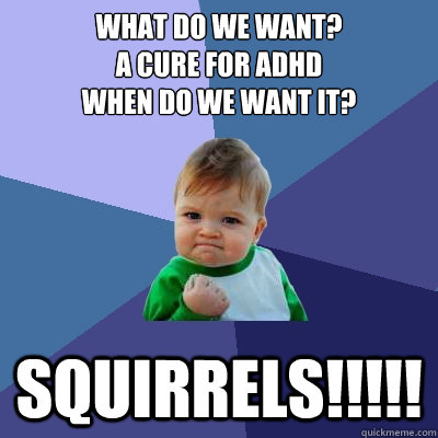 What Do We want?
a cure for adhd
when do we want it? Squirrels!!!!!  Success Kid