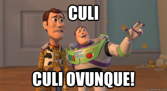 Culi Culi ovunque!  Toy Story Everywhere