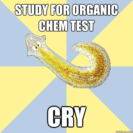 study for organic chem test cry  Bio Major Planarian