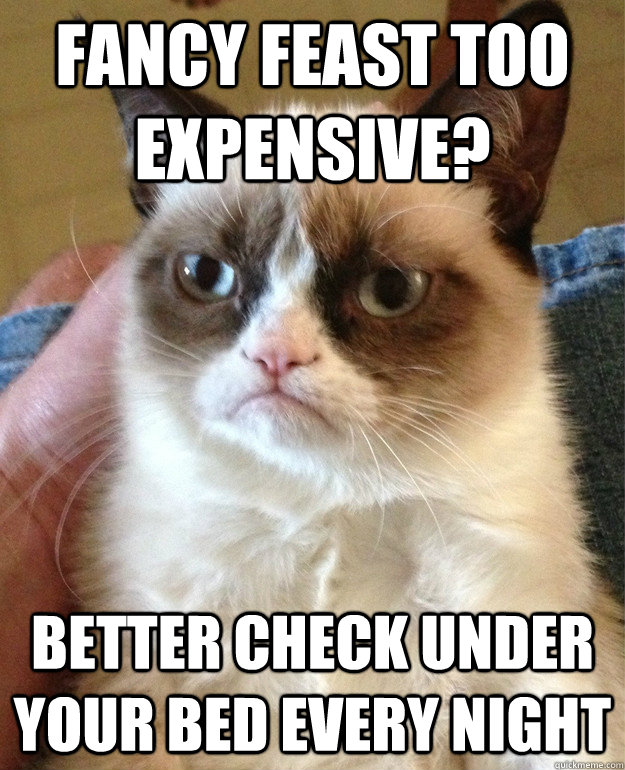 Fancy Feast too expensive?  Better check under your bed every night  Grumpy Cat