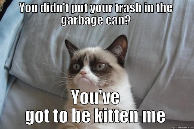 YOU DIDN'T PUT YOUR TRASH IN THE GARBAGE CAN? YOU'VE GOT TO BE KITTEN ME Grumpy Cat