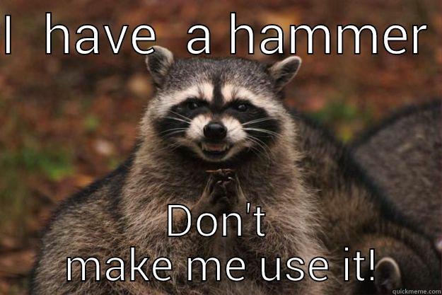 I  HAVE  A HAMMER  DON'T  MAKE ME USE IT! Evil Plotting Raccoon