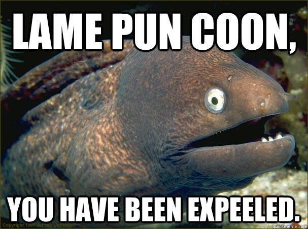 Lame Pun Coon,  you have been expeeled.  Bad Joke Eel