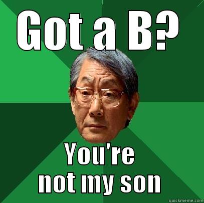 GOT A B? YOU'RE NOT MY SON High Expectations Asian Father