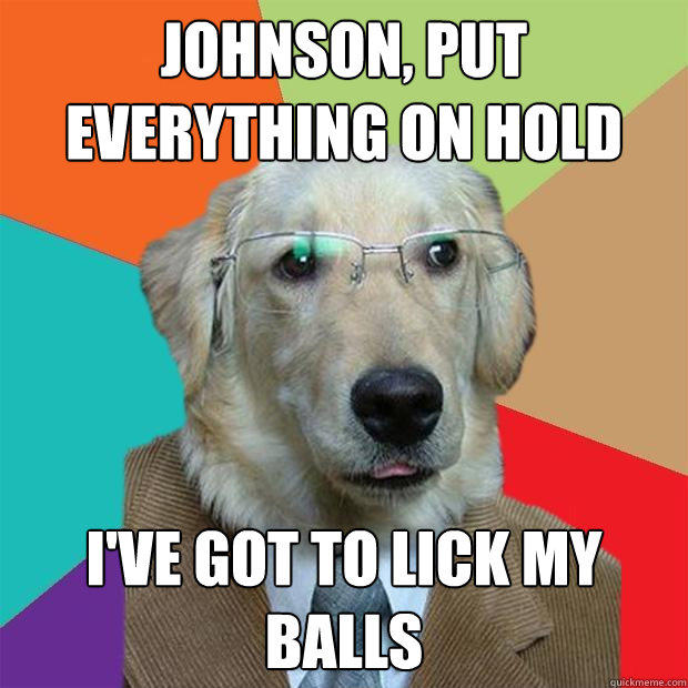 JOHNSON, PUT EVERYTHING ON HOLD  I'VE GOT TO LICK MY BALLS - JOHNSON, PUT EVERYTHING ON HOLD  I'VE GOT TO LICK MY BALLS  Business Dog