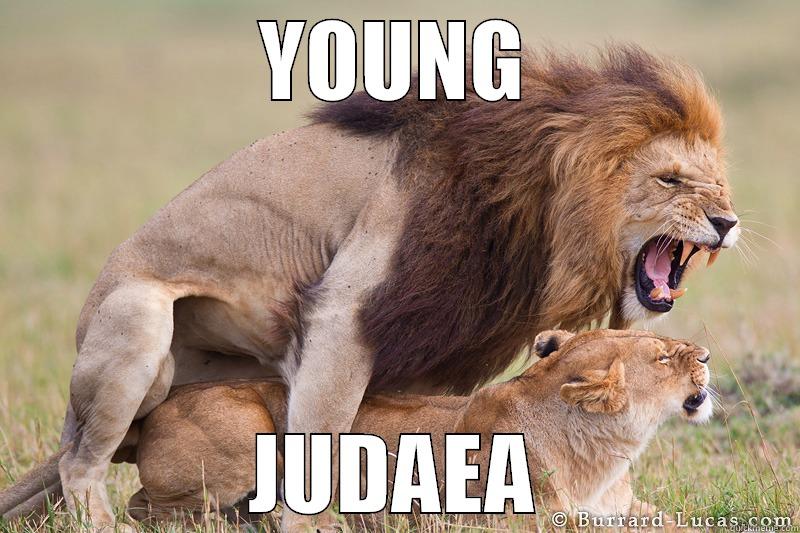 YOUNG JUDAEA Misc