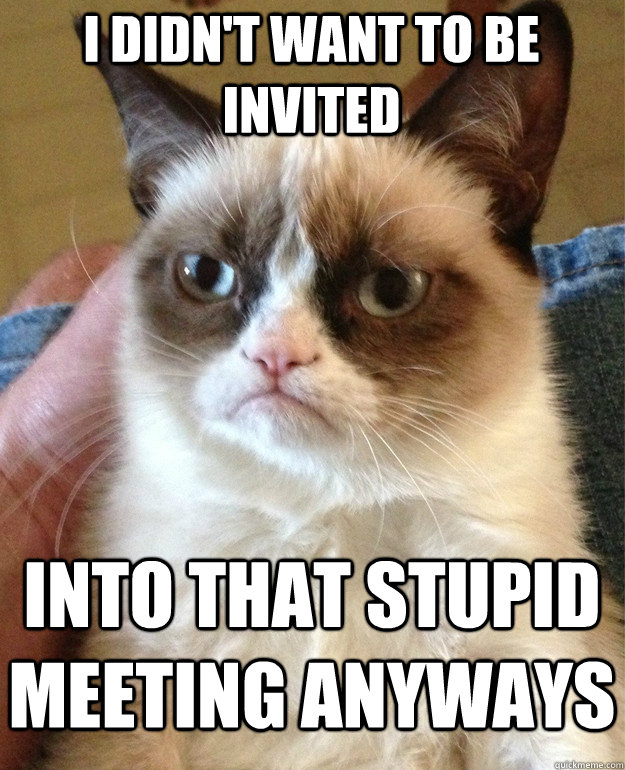 I didn't want to be invited into that stupid meeting anyways  Grumpy Cat