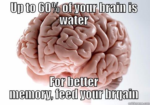 UP TO 60% OF YOUR BRAIN IS WATER FOR BETTER MEMORY, FEED YOUR BRQAIN Scumbag Brain