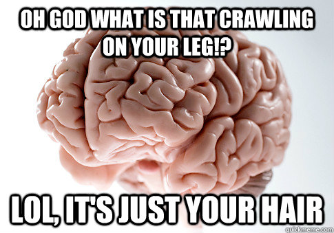 OH GOD WHAT IS THAT CRAWLING ON YOUR LEG!? LOL, IT'S JUST YOUR HAIR  - OH GOD WHAT IS THAT CRAWLING ON YOUR LEG!? LOL, IT'S JUST YOUR HAIR   Scumbag Brain