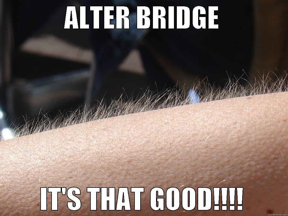 ALTER BRIDGE IT'S THAT GOOD!!!! Misc